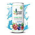 "Blueberry Pomegranate" THC-Infused Social Beverage (4pk)